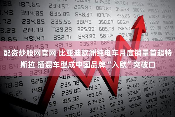 配资炒股网官网 比亚迪欧洲纯电车月度销量首超特斯拉 插混车型成中国品牌“入欧”突破口