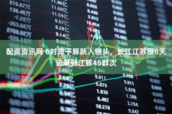 配资资讯网 6对母子豚跃入镜头，长江江苏段8天记录到江豚45群次