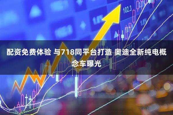 配资免费体验 与718同平台打造 奥迪全新纯电概念车曝光